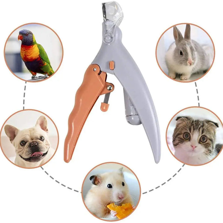 Professional Pet Nail Clipper Scissors With LED Light Cat Dog Nail Clippers Tool Scissors Nail Toeclaw Cutter Scissors Pet Suppl