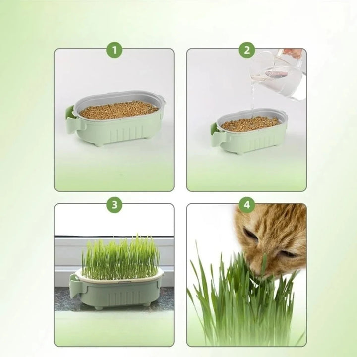 Pet Supplies Good Quality Soilless Hydroponic Growing Cup Lazy Planting Cup Hydroponic Cultivation Cat Care Products